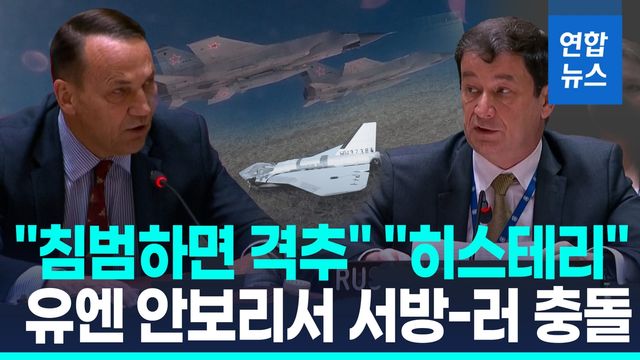 [영상] '나토 영공침범' 두고 안보리서 서방-러시아 날선 설전 - 2