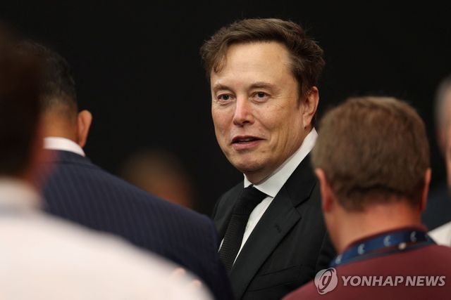 일론 머스크 테슬라 CEO