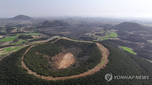 제주 백약이오름 일대