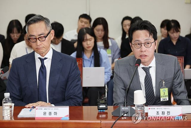 발언하는 조좌진 롯데카드 대표