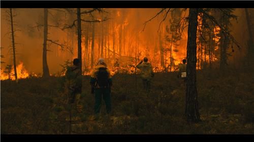 영화 '파라다이스'