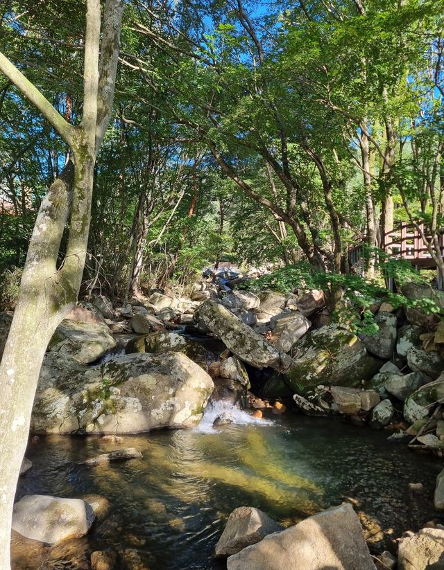 국립진안고원 산림치유원 내 숲길