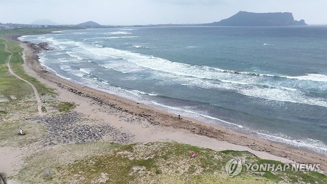 제주 성산읍 신양사구