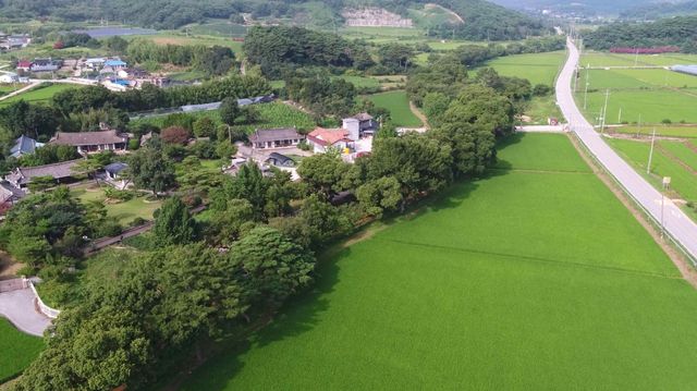 '고창 하고리 삼태마을숲' 항공 사진 