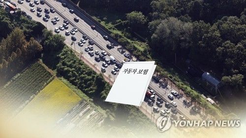 [연합뉴스TV 제공]