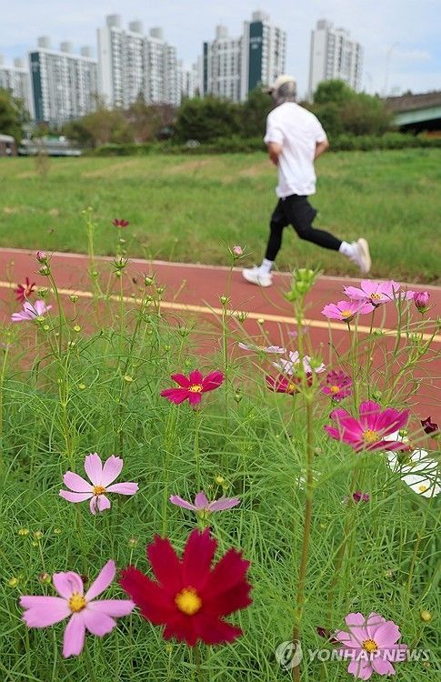 건강을 위해…달리기 열풍