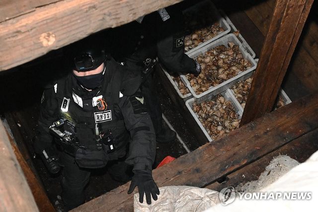 중국어선 불법 어획물 확인하는 해경