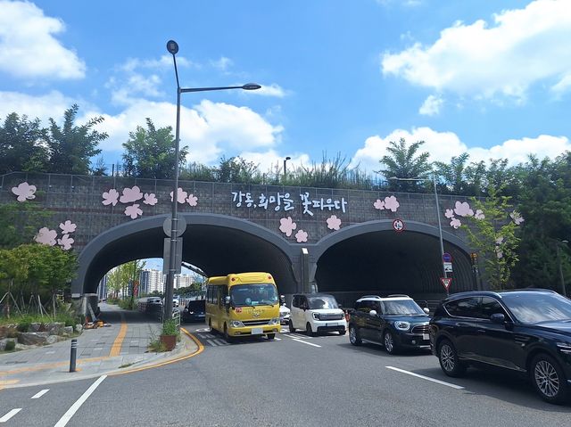 새단장 마친 강일생태육교