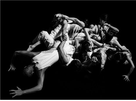 김성용 예술감독의 '크롤'