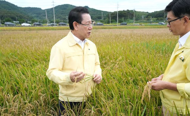 깨씨무늬병 피해 현장 방문