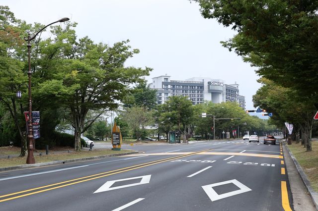 깔끔하게 정비된 경주 보문관광단지 도로