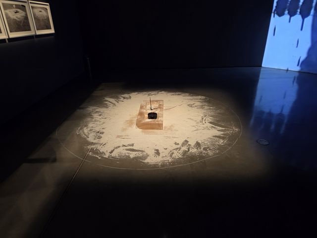 이강소 '닭 퍼포먼스'