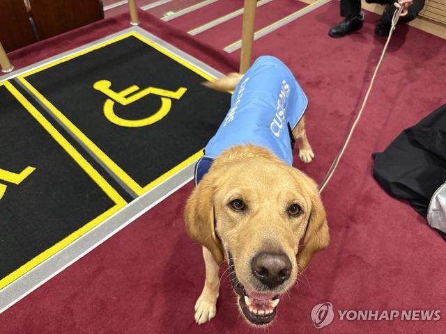 활짝 핀 웃음꽃… 119구조견 '이랑이'