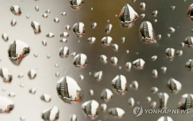 비 내리는 풍경