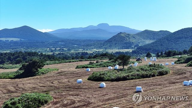 가을 제주 중산간 풍경
