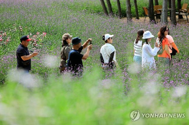 꽃향기 가득한 추억