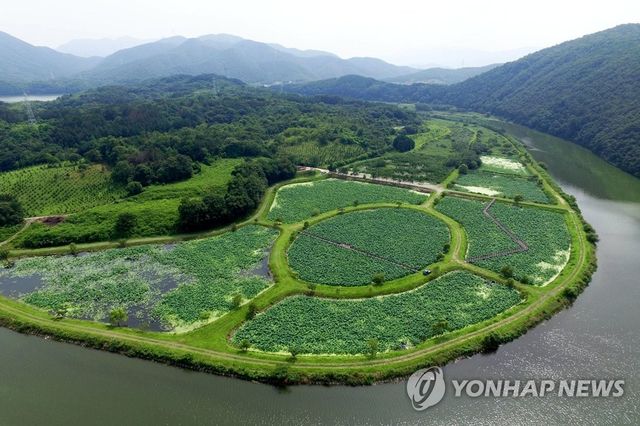 울산 회야댐 생태습지 전경