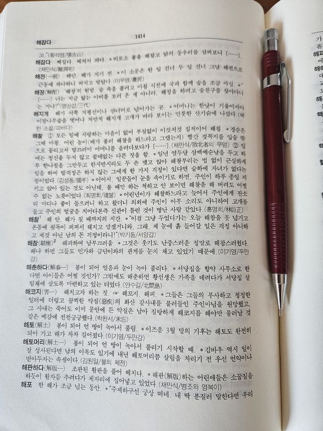 소설어사전에서 찾은 단어 '해찰'