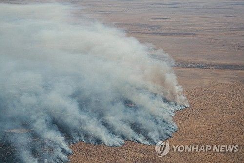 나미비아 에토샤 국립공원 화재