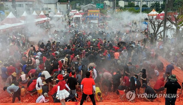 토마토축제 백미 '황금반지를 찾아라' 