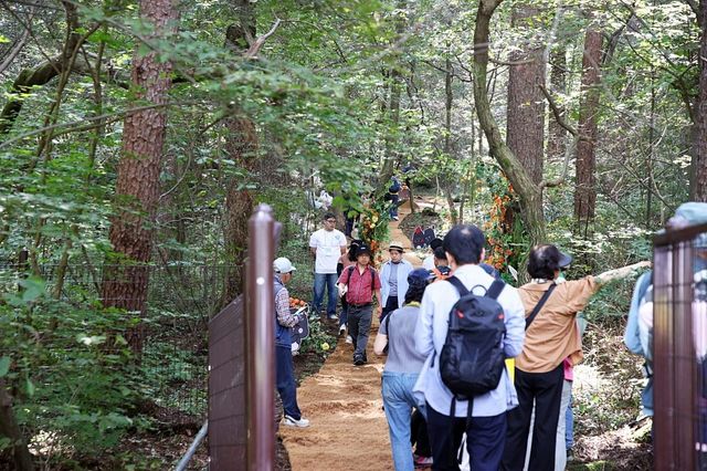 1년에 단 이틀 열리는 비공개 광릉숲길