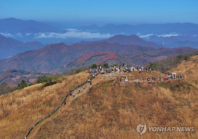 만추 절정…민둥산 억새 물결
