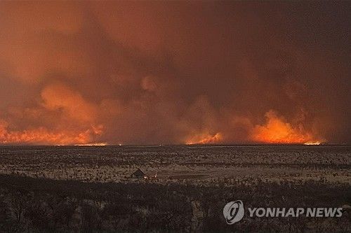 나미비아 에토샤 국립공원 화재