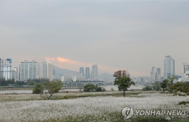 태화강 국가정원 전경