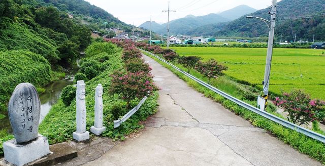 눈길 끄는 배롱나무