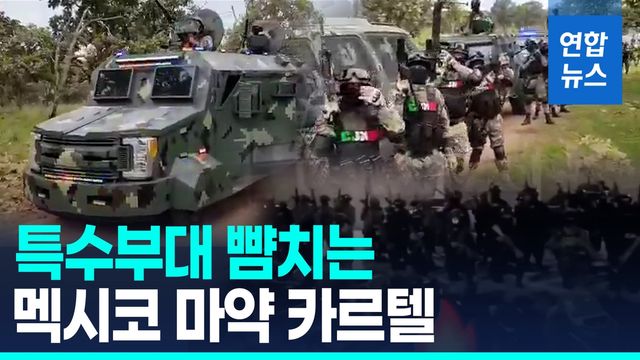 [영상] 기관총에 드론까지…무장하는 멕시코 카르텔은 '준군사조직' - 2