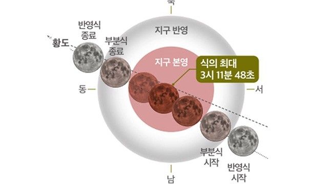[영천시청 제공.재판매 및 DB 금지]