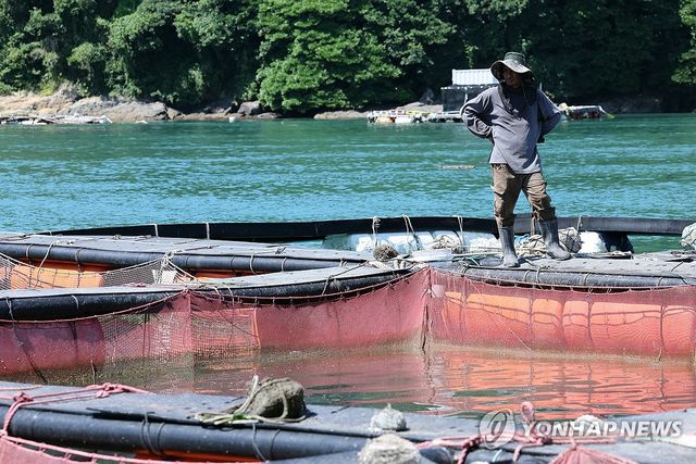 고수온에 양식장엔 근심 가득