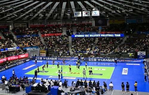 만원 관중을 프로배구 경기 장면 