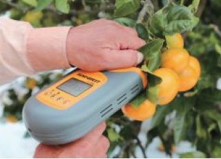 감귤 당도 측정