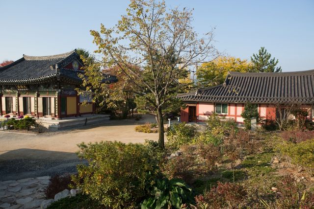 2015년 촬영한 사적 '경주 흥륜사지' 일대 모습 