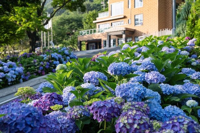 월아산 숲속의 진주