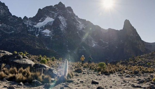 관객상 '스틸 얼라이브'