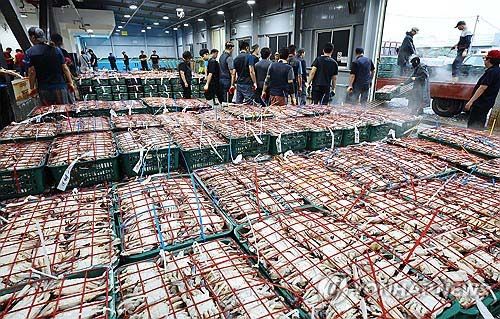 가을 꽃게 경매