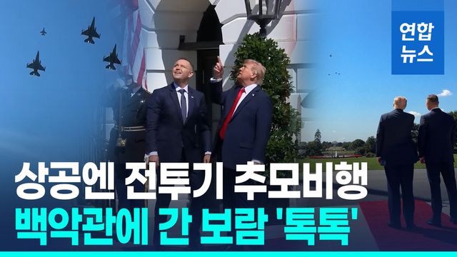 [영상] 트럼프 "미군 빼지 않겠다"…'통큰 약속' 받은 폴란드 대통령 - 2
