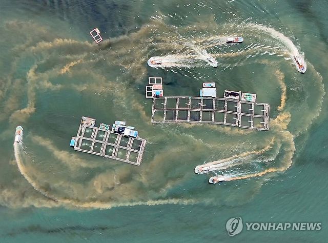 "적조 확산을 막아라"