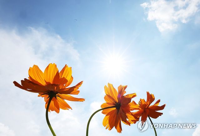 하늘은 이미 가을