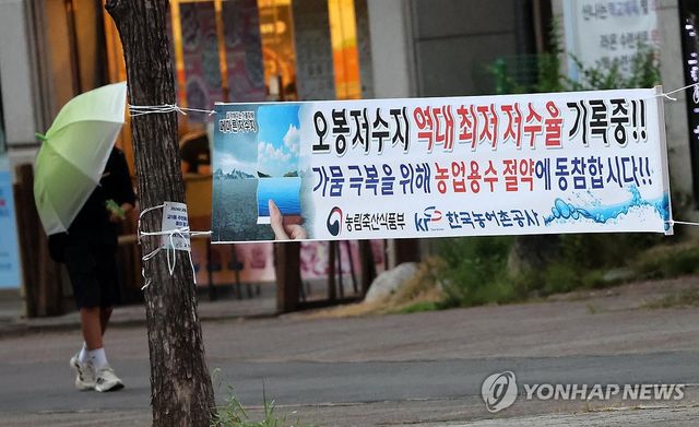 강원 강릉지역에 지난 1일 오후 비가 내리고 있다. [연합뉴스 자료사진]