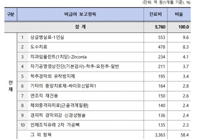비급여 진료비 상위 10개 항목