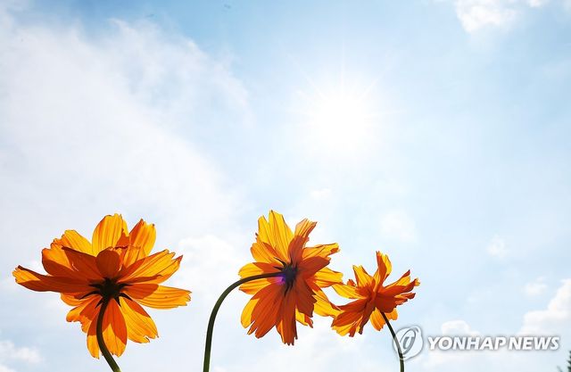 하늘은 이미 가을