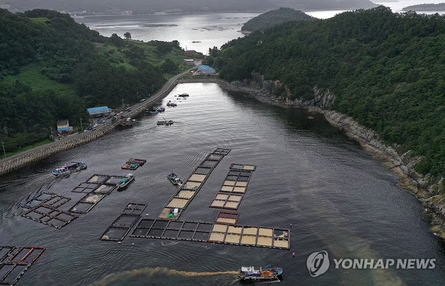 적조와 황토 방제 작업…폐사 참돔
