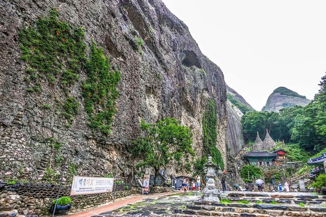 능소화가 핀 탑사 [사진/백승렬 기자]