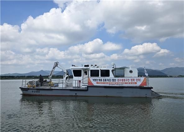 낙동강 부산 친수구간 조류경보 '경계' 발령