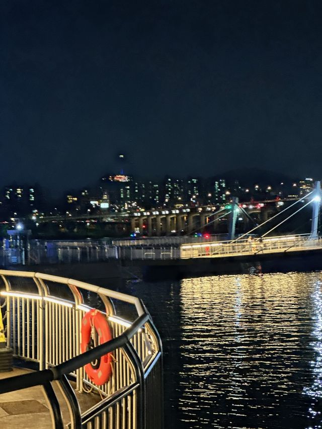 한강 구조 대상자 수색 작업