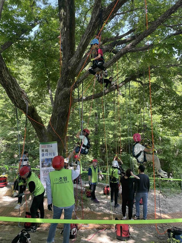 울주 클라이밍데이