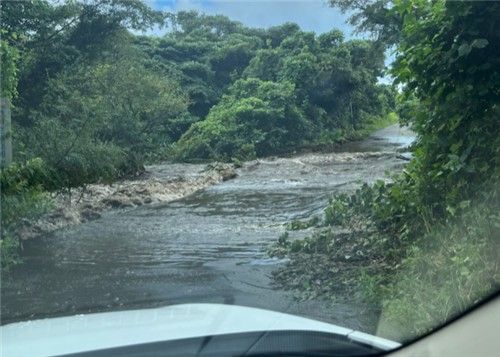 5일 침수된 제주 서귀포시 표선면 가시리 한 도로